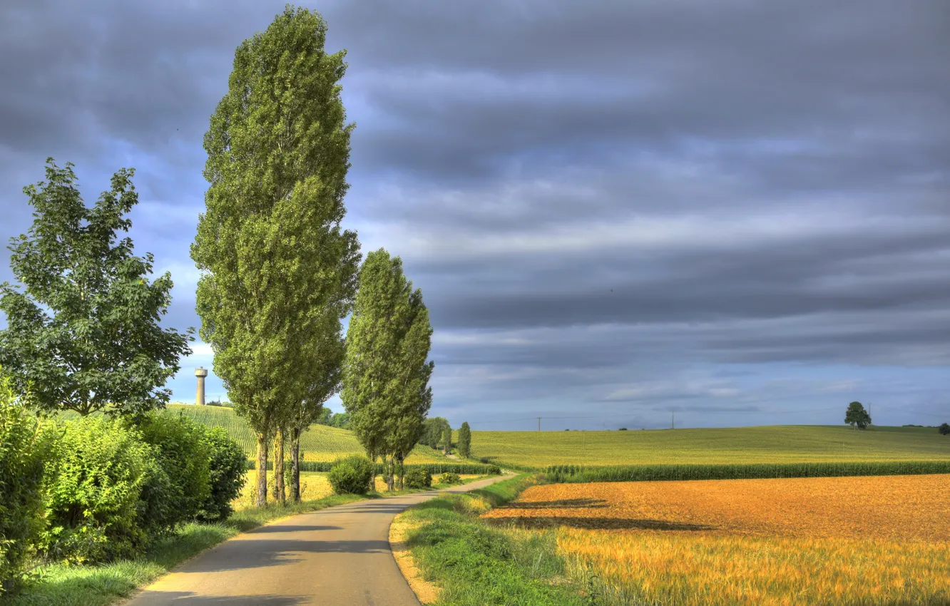 Photo wallpaper road, field, trees, France, France, Lorraine, Lorraine, Trie, Trieux