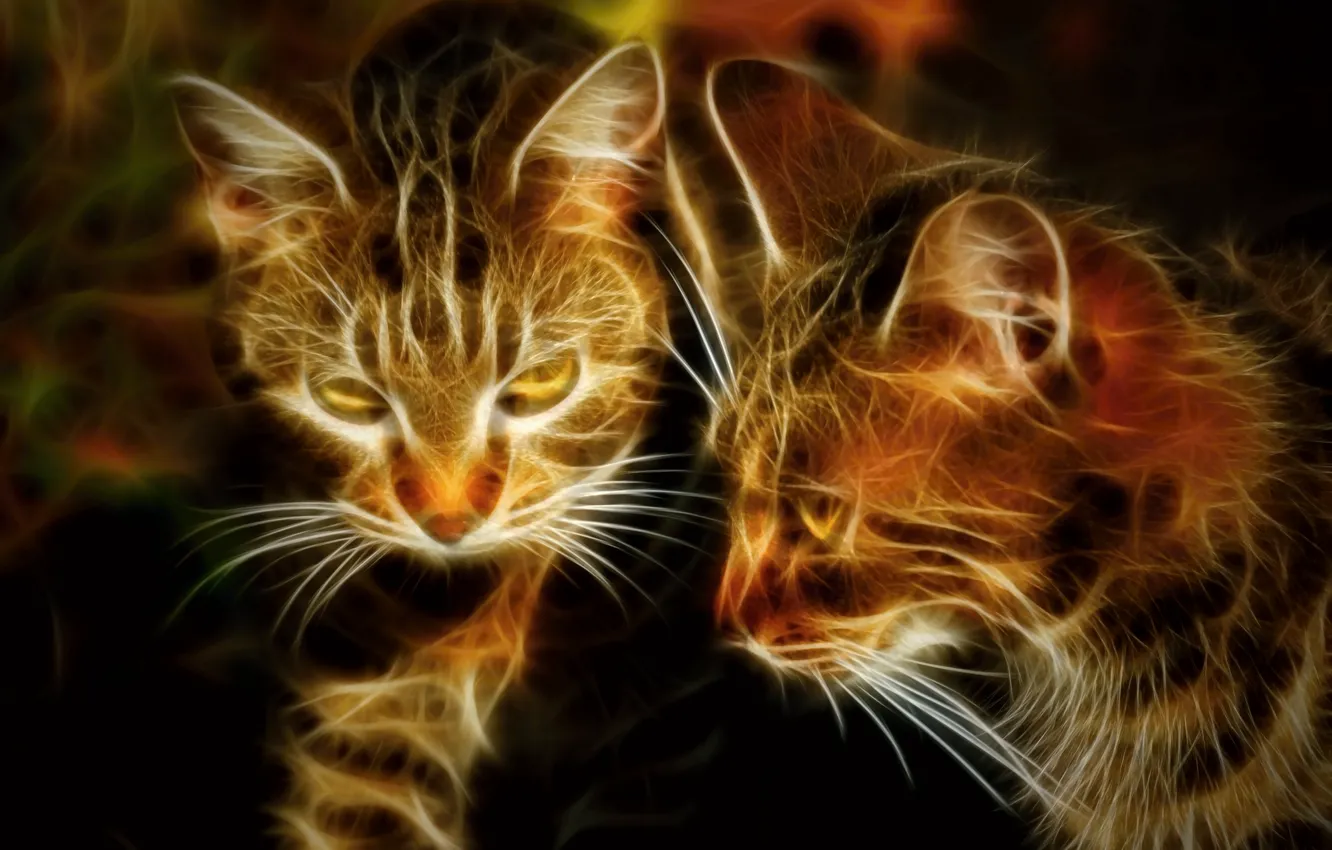 Photo wallpaper cats, retouching, by Placi1