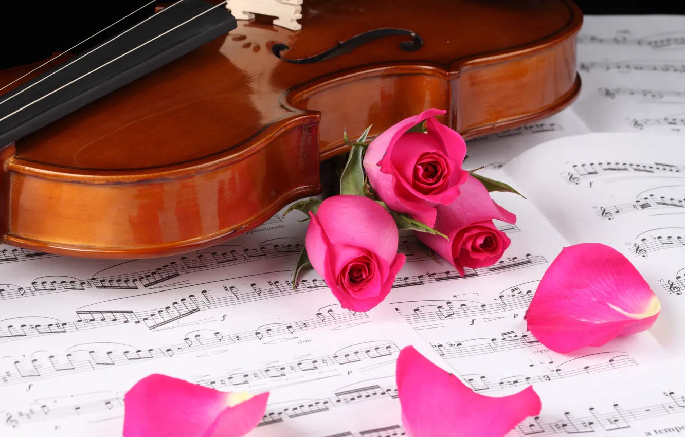 Wallpaper notes, violin, roses images for desktop, section ...
