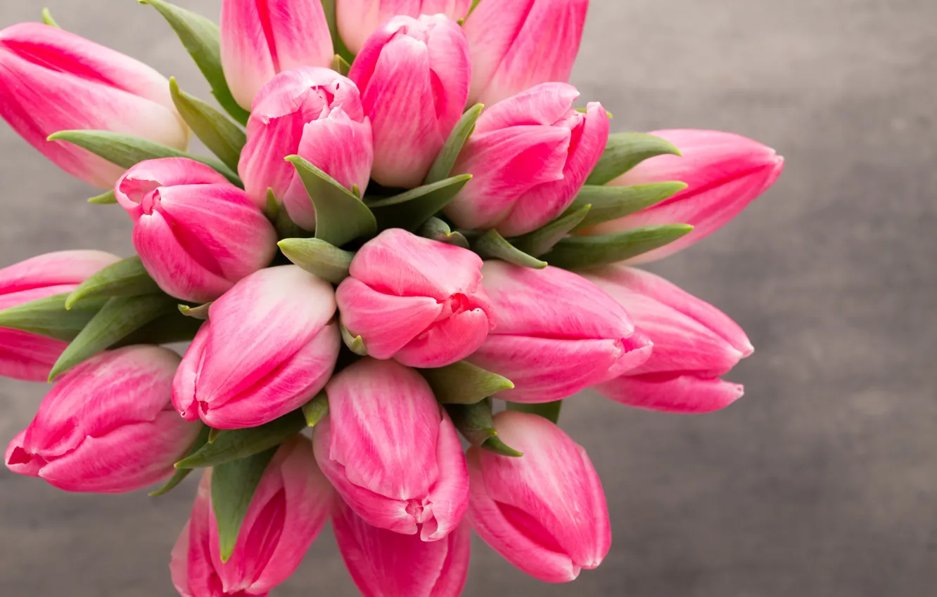Photo wallpaper flowers, bouquet, tulips, pink, fresh, pink, flowers, beautiful, tulips, spring