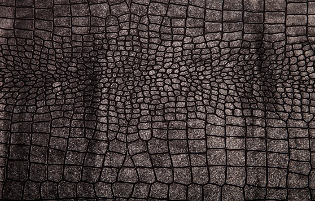 Wallpaper Leather Black Texture, Crocodile Leather Wallpaper Iphone