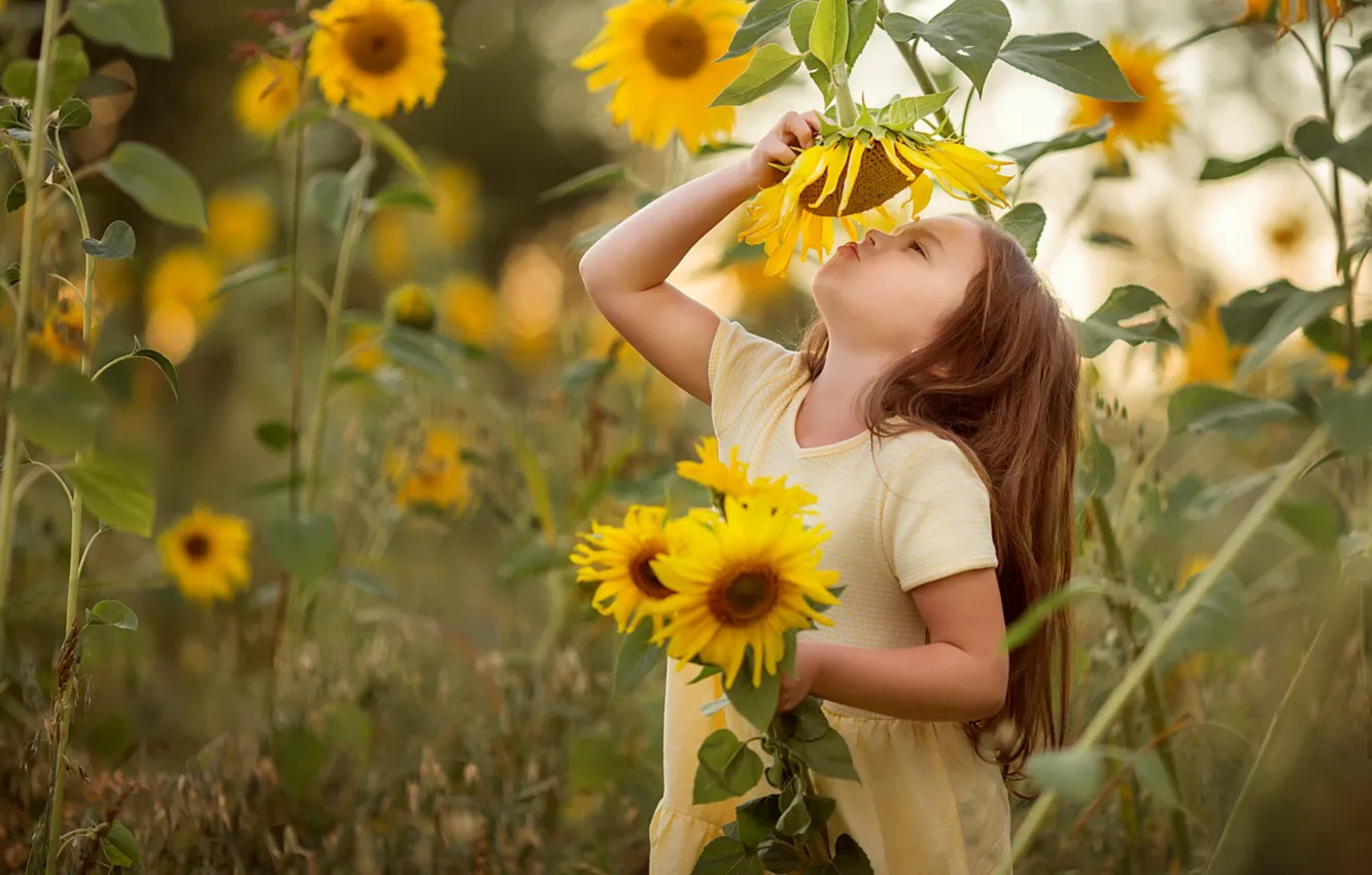 Photo wallpaper summer, sunflowers, girl. 