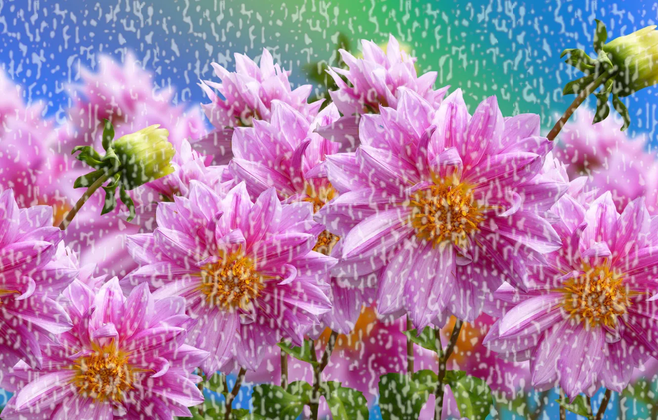 Photo wallpaper Flowers, Colored, Rain