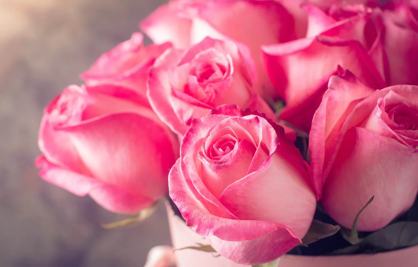 Wallpaper roses, bouquet, pink, rose, flower, pink, bouguet images for ...