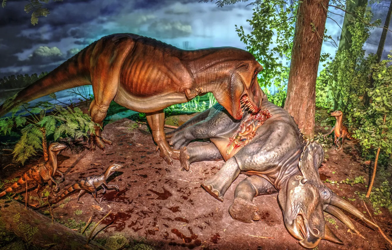 Photo wallpaper exposure, dinosaurs, Museum, Milwaukee public Museum