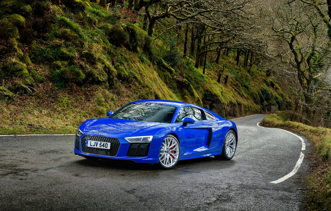 Photo wallpaper road, forest, Audi, Audi, supercar, blue