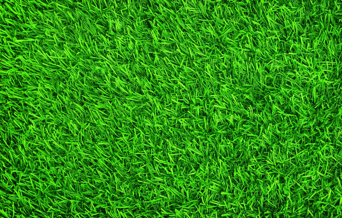 Wallpaper Grass Background Lawn Green Summer Grass Green Images For Desktop Section Tekstury Download,Peach Schnapps