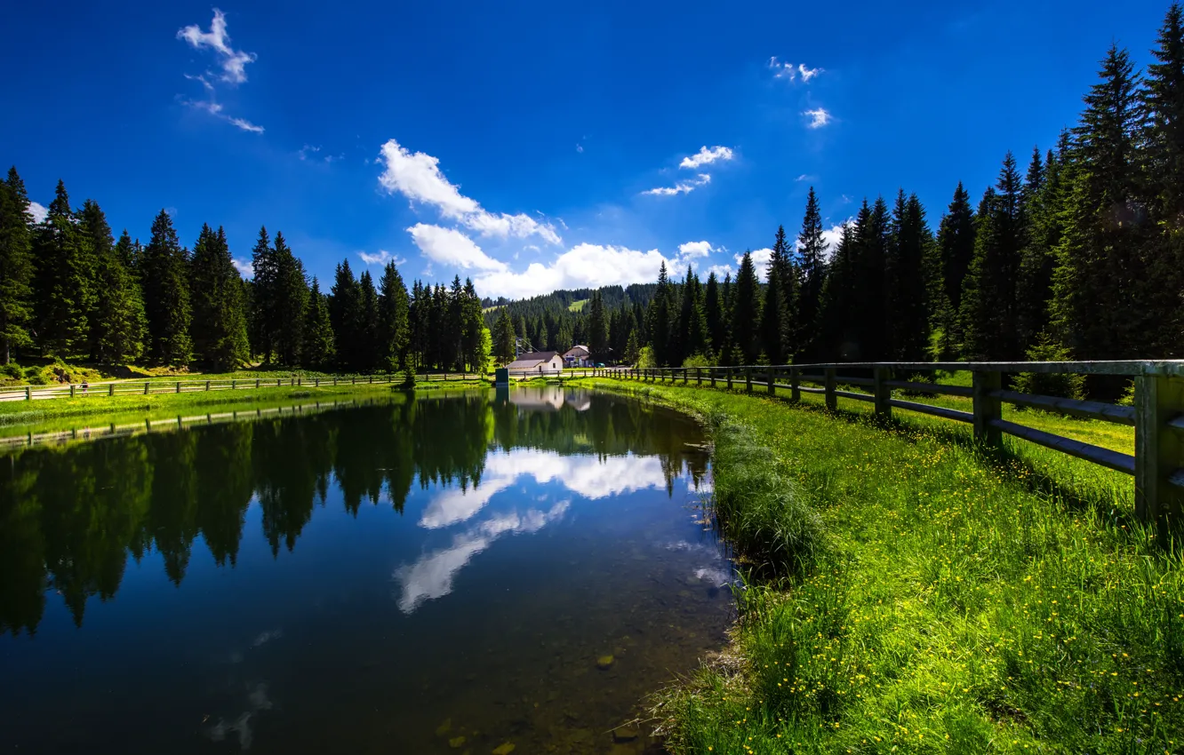 Photo wallpaper forest, lake, reflection, the fence, Slovenia
