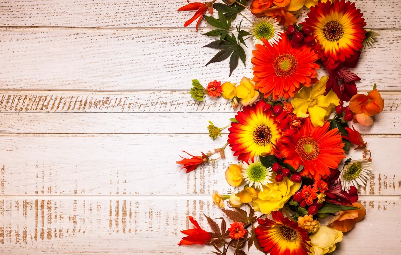 Wallpaper autumn, leaves, flowers, wood, flowers, autumn, leaves,  composition, frame, floral images for desktop, section цветы - download