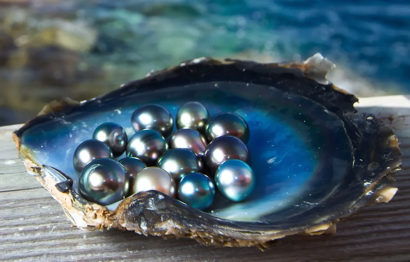 Wallpaper sea, light, Shine, shell, pearls, black pearl