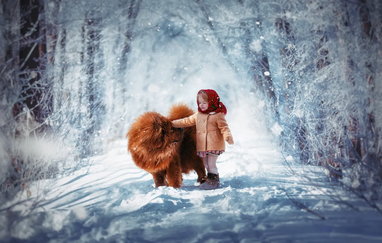 Photo wallpaper winter, snow, child, dog, girl, shawl, Chow, coat