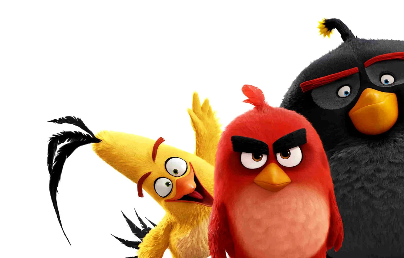 Wallpaper Red Game Birds Film Pose Friends Animated Angry Angry Birds Animated Movie Bomb Chuck Ab Images For Desktop Section Filmi - Download