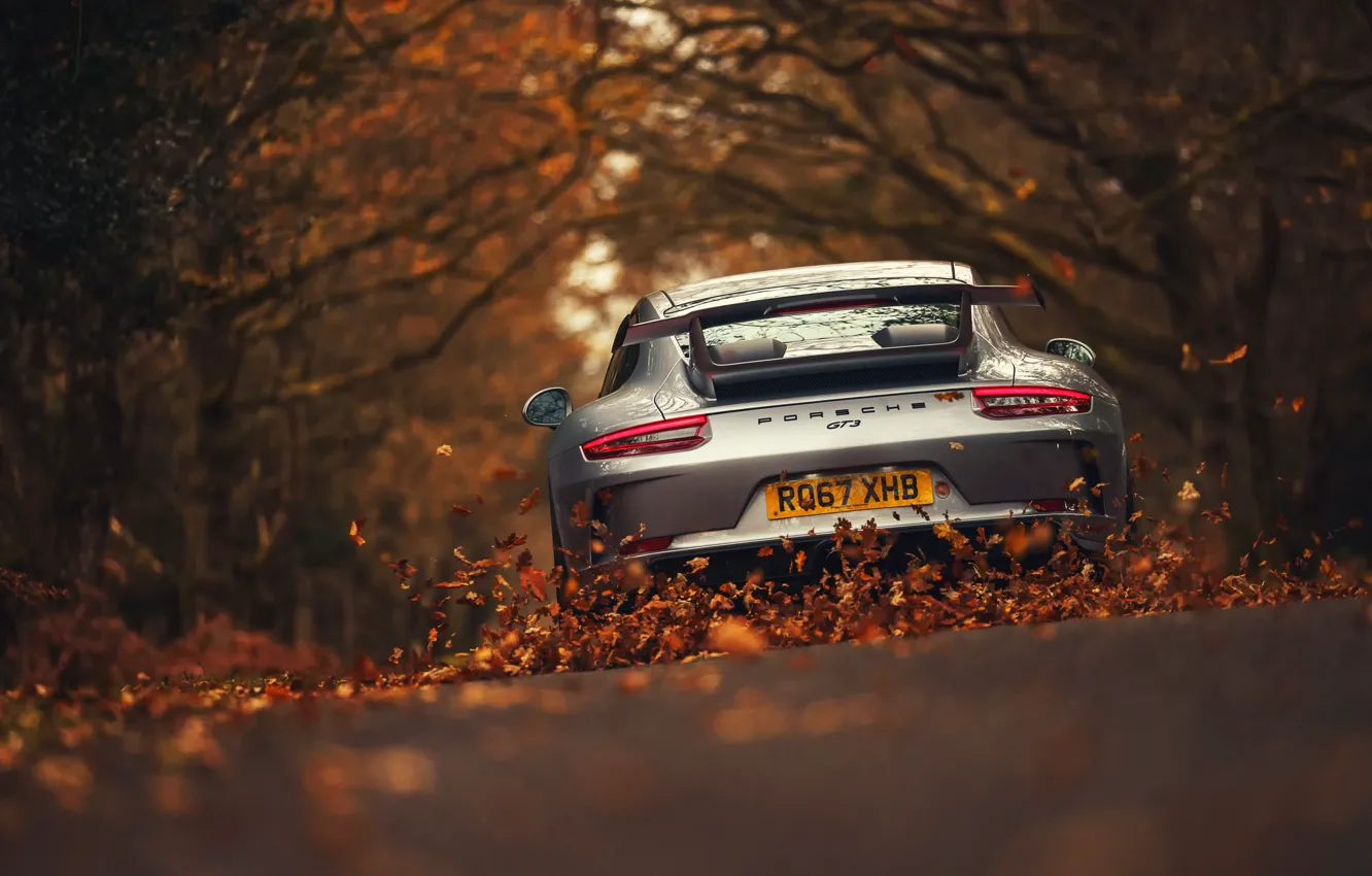 Photo wallpaper road, leaves, 911, Porsche, Porsche, GT3