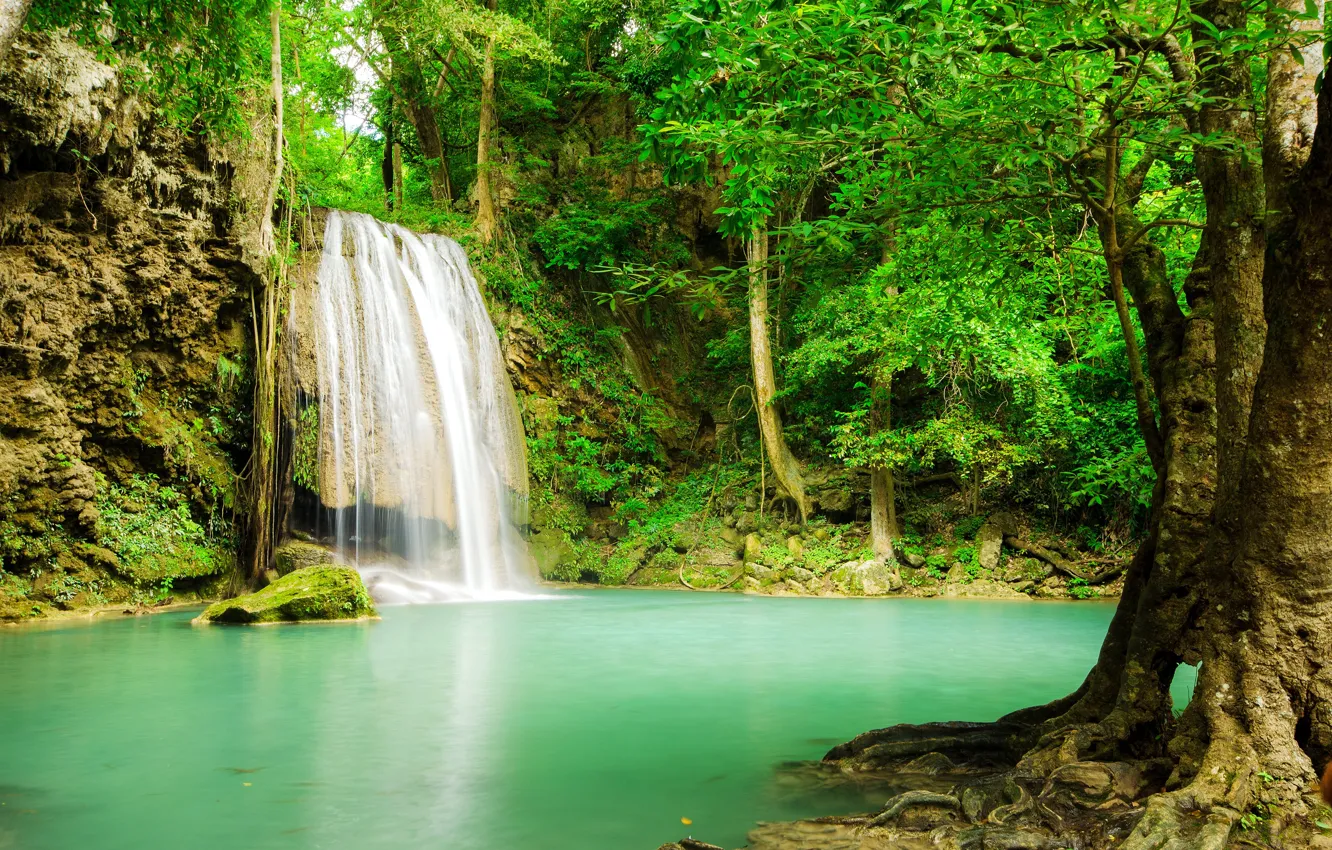 Wallpaper forest, river, waterfall, forest, river, landscape, jungle,  beautiful, waterfall, tropical images for desktop, section природа -  download