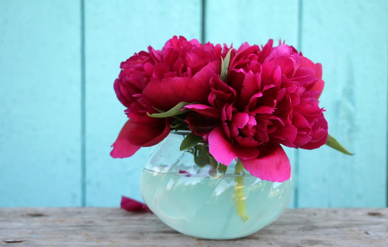 Wallpaper Flowers Background Wallpaper Bouquet Peonies Peony Flowers In A Vase Peony Mini Bouquet Burgundy Peonies Images For Desktop Section Cvety Download