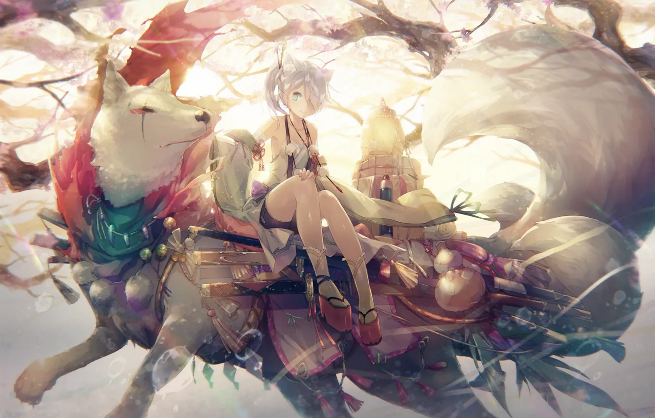 Wallpaper wolf, anime, girl images for desktop, section арт - download