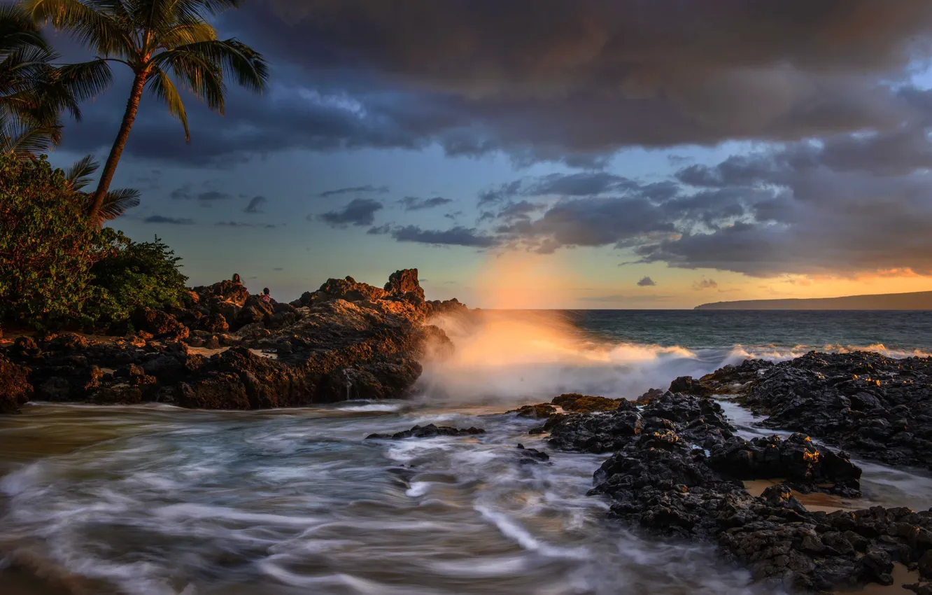 Photo wallpaper sunset, palm trees, the ocean, coast, Hawaii, Pacific Ocean, Hawaii, The Pacific ocean, Maui, Maui, …
