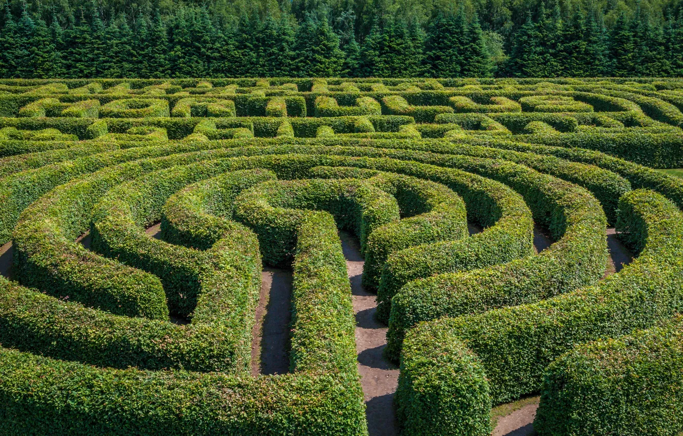Wallpaper Garden Labyrinth Plants Images For Desktop Section Images, Photos, Reviews