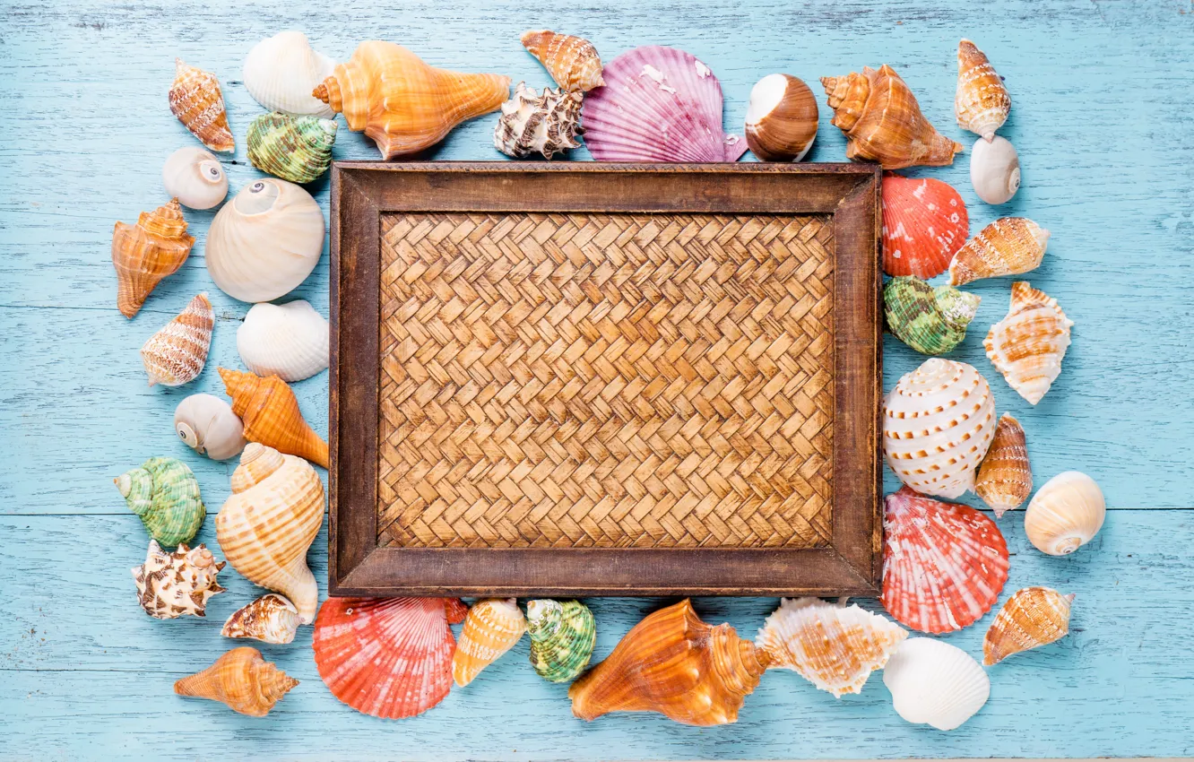 Photo wallpaper shell, summer, wood, marine, starfish, composition, seashells