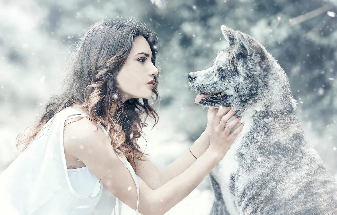 Wallpaper girl, snow, mood, dog, friendship, friends, Alessandro Di Cicco,  Arianna Storace images for desktop, section настроения - download
