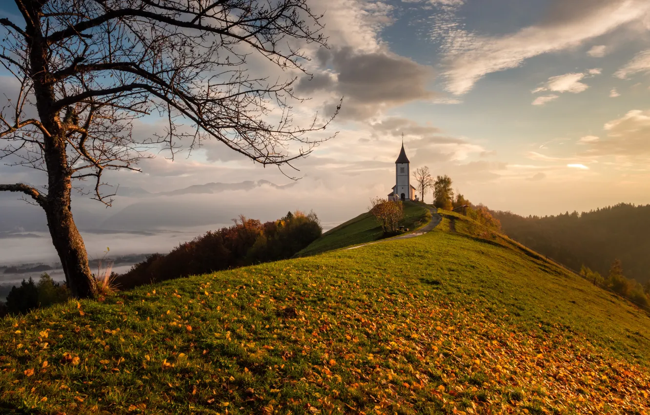 Photo wallpaper autumn, leaves, tree, hill, Church, Slovenia