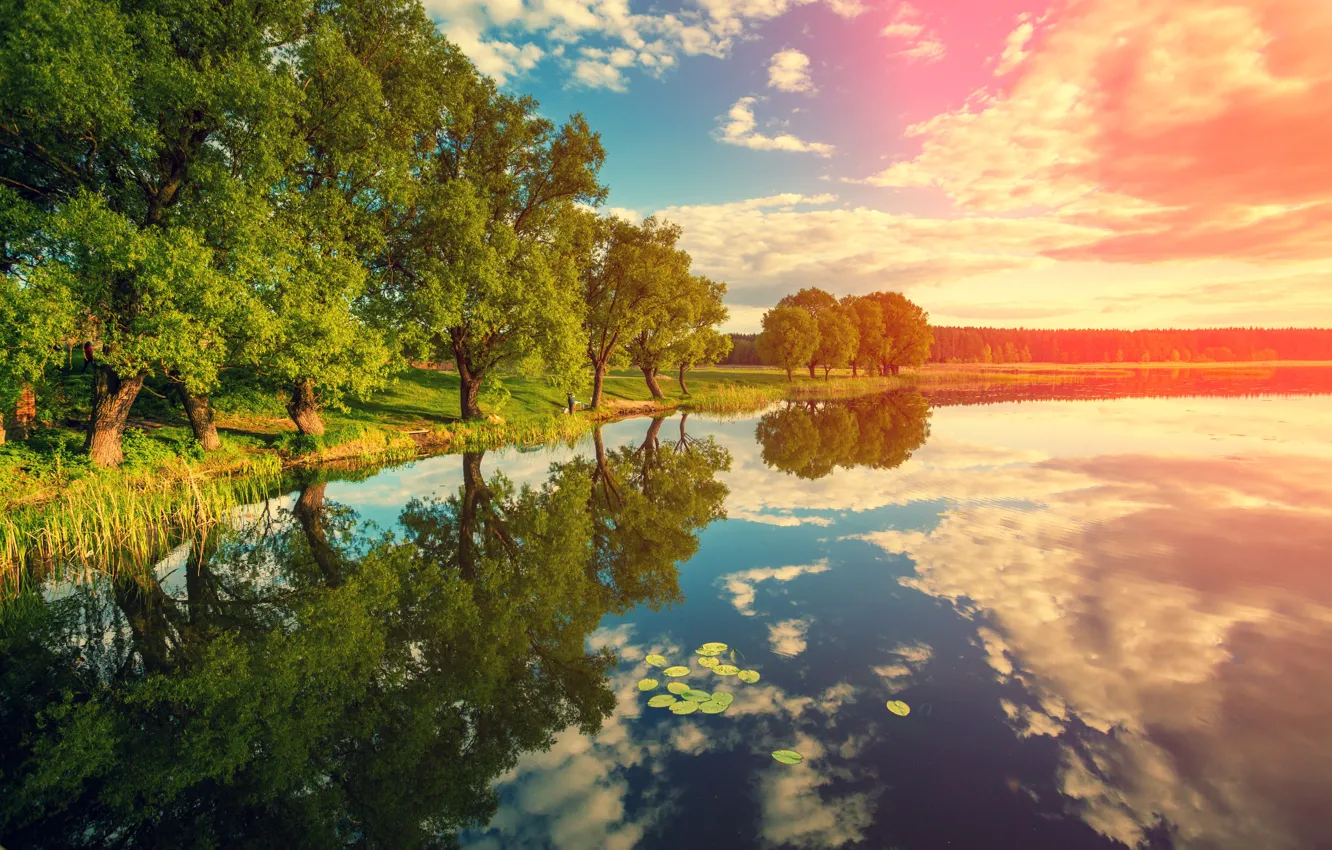 Photo wallpaper The sky, Nature, Clouds, Reflection, Trees, River, Landscape