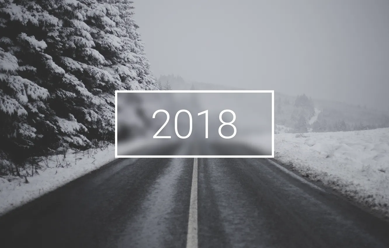 Photo wallpaper wallpaper, white, christmas, new year, road, trees, winter, snow, minimalistic, 2018