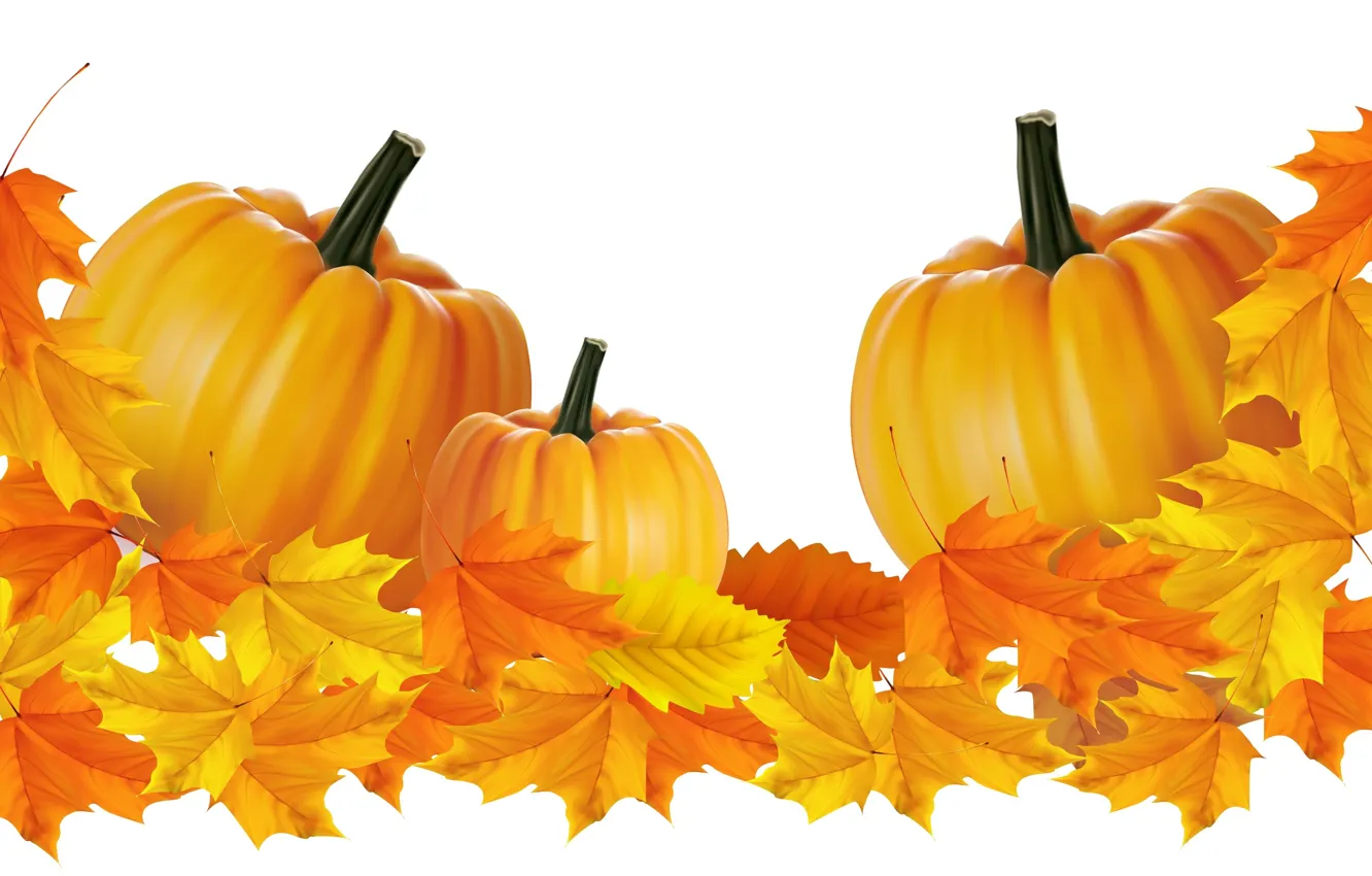 Photo wallpaper autumn, leaves, pumpkin, vector graphics