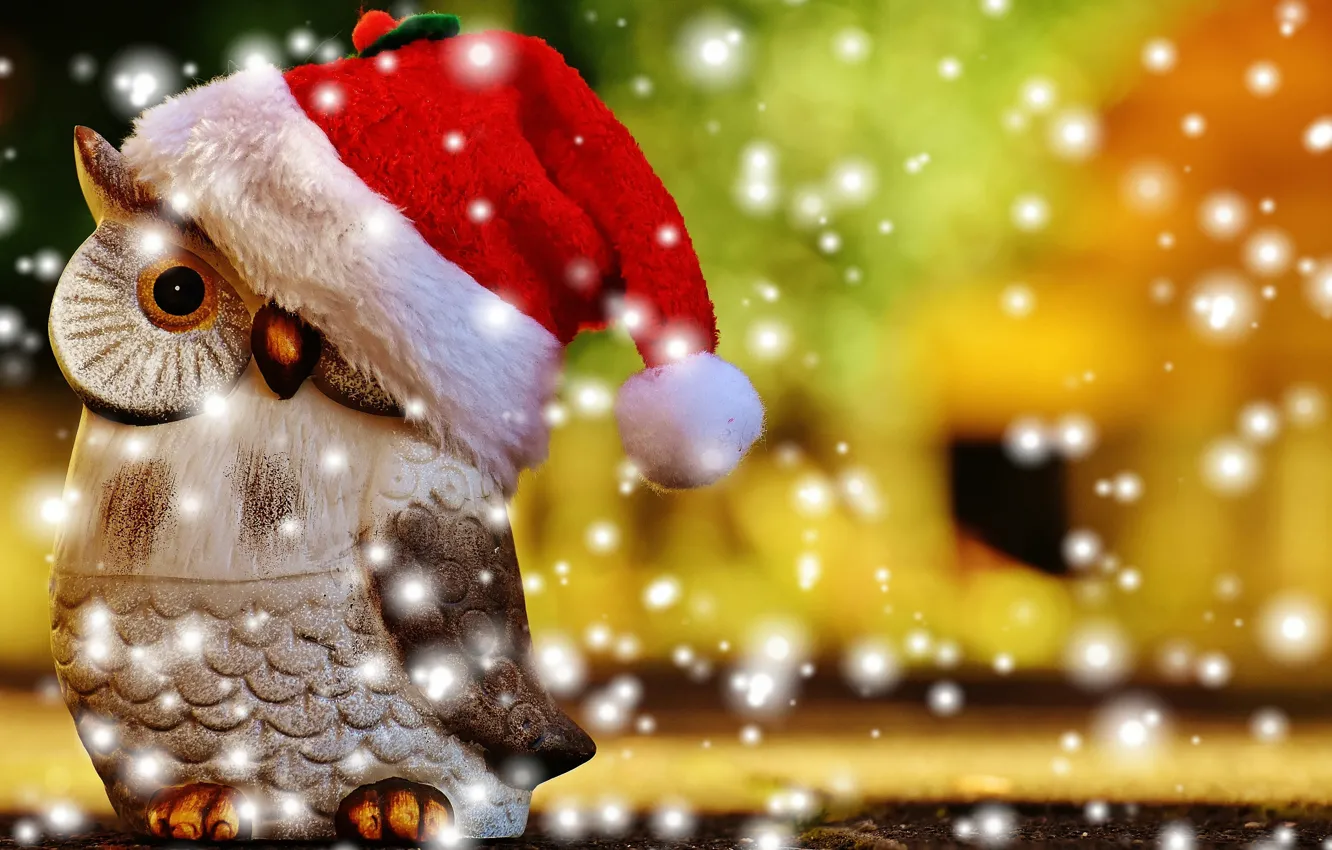 Photo wallpaper owl, bird, Christmas, New year, cap, figure