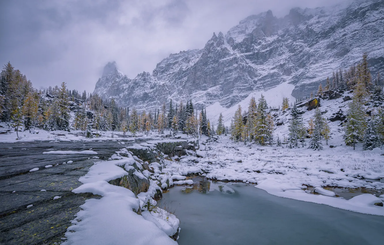 Photo wallpaper winter, water, snow, trees, mountains, Canada, Canada, British Columbia, British Columbia, Yoho National Park, Rocky …