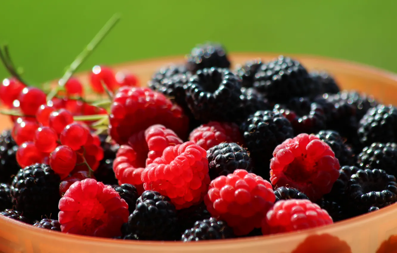 Photo wallpaper summer, nature, berries, raspberry, beauty, vitamins, BlackBerry, delicious, cottage, cuts, red currant, backlight, black raspberry