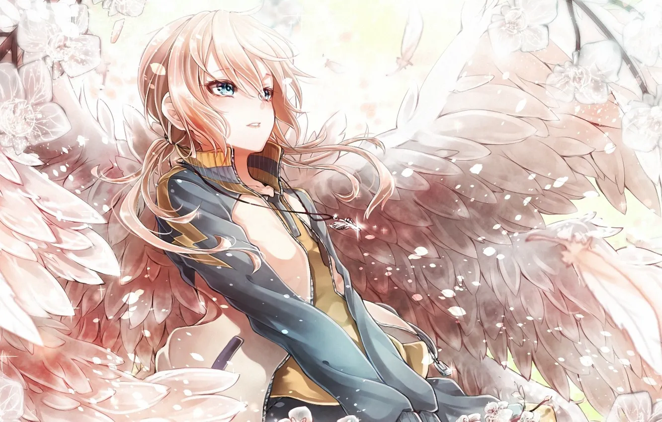 Wallpaper girl, anime, Sakura, art, angel. wings. spring images for  desktop, section сёдзё - download