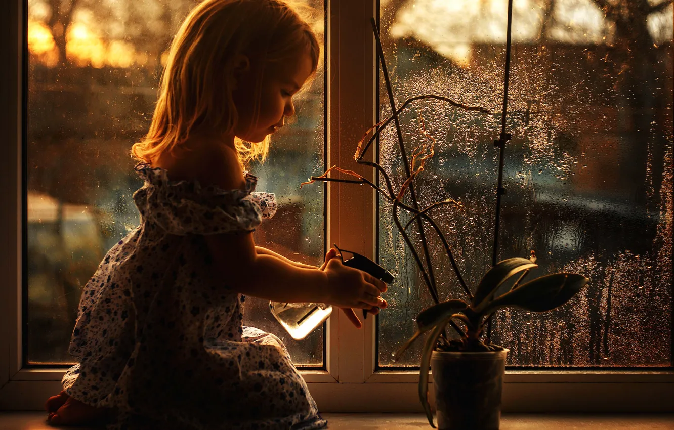 Photo wallpaper flower, window, girl, watering