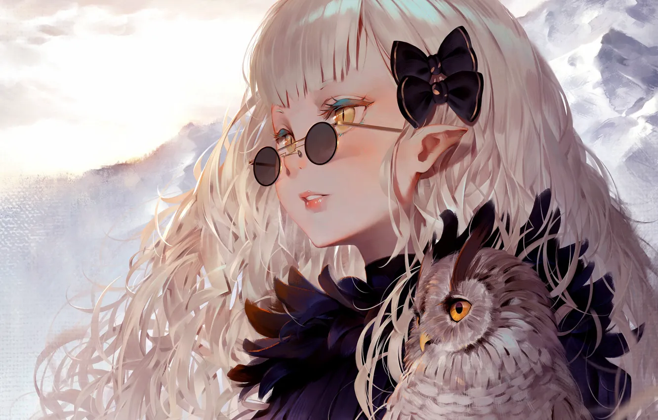 Wallpaper Girl, long hair, anime, art, birds, glasses, artwork, owl,  sweater, anime girl, hair ornament, pointy ears, looking into the distance,  sunglases, hair bows, parted lips images for desktop, section арт -