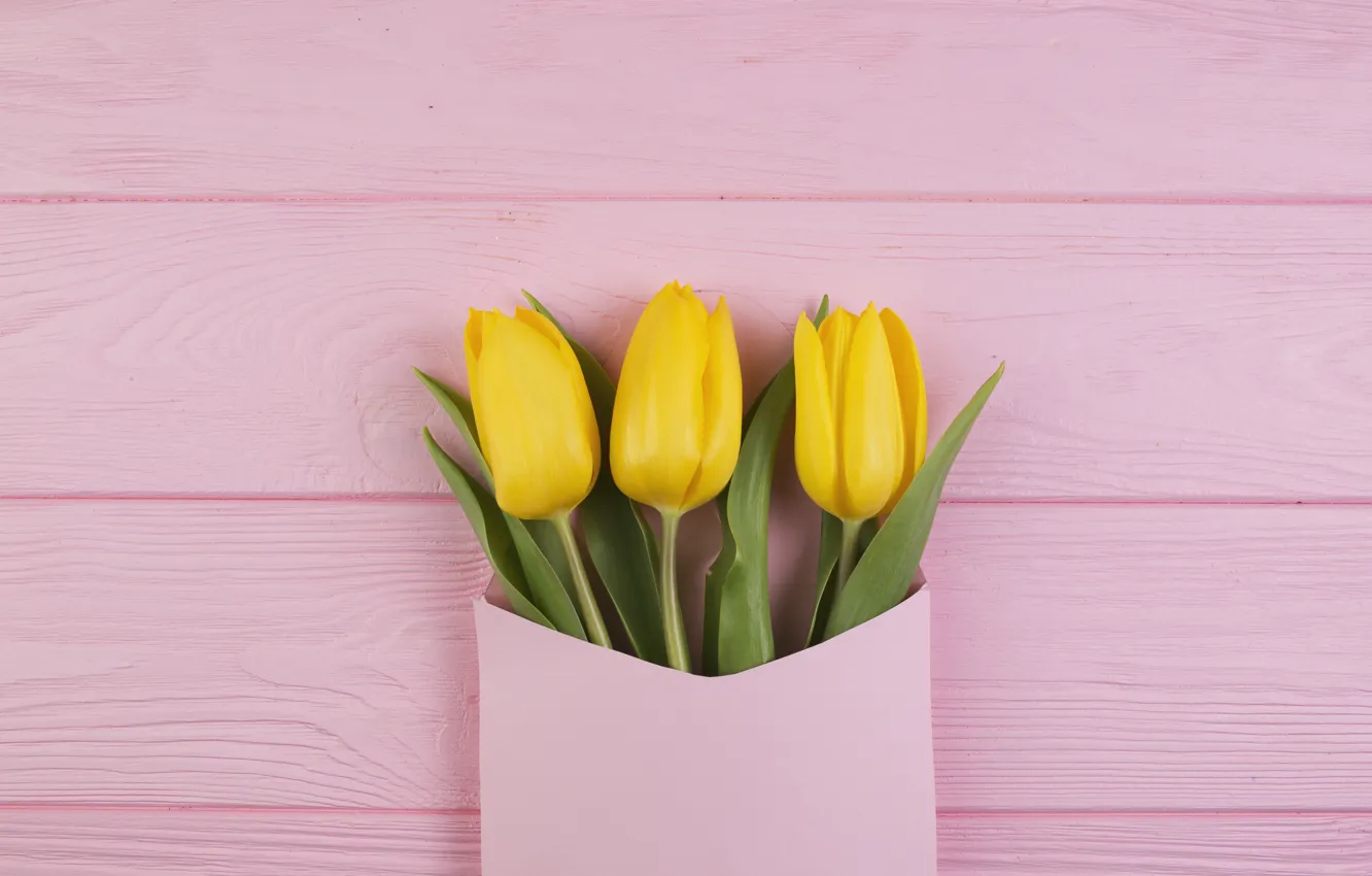 Photo wallpaper flowers, bouquet, yellow, tulips, fresh, yellow, wood, pink, flowers, the envelope, tulips, spring, tender