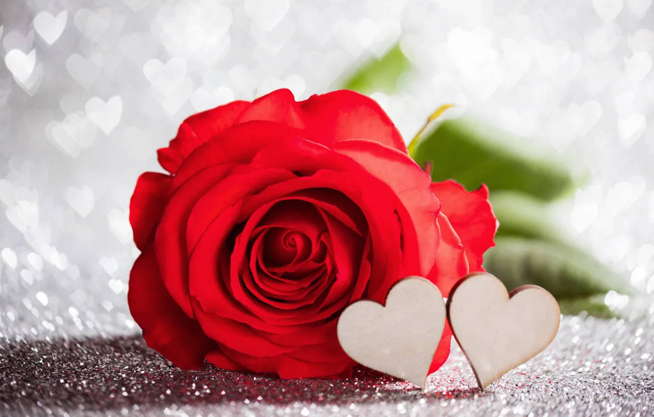 Wallpaper love, rose, hearts, red, love, rose, red, wood, romantic, hearts,  bokeh, Valentine's Day, gift images for desktop, section праздники -  download