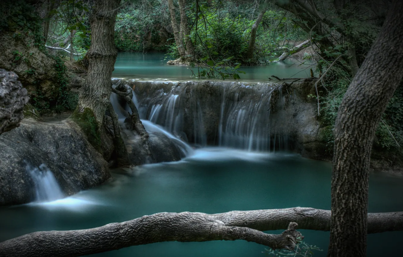 Photo wallpaper forest, trees, river, France, waterfall, cascade, France, Provence-Alpes-Côte d'azur, Sian-La-Cascade, Sillans-la-Cascade Waterfall