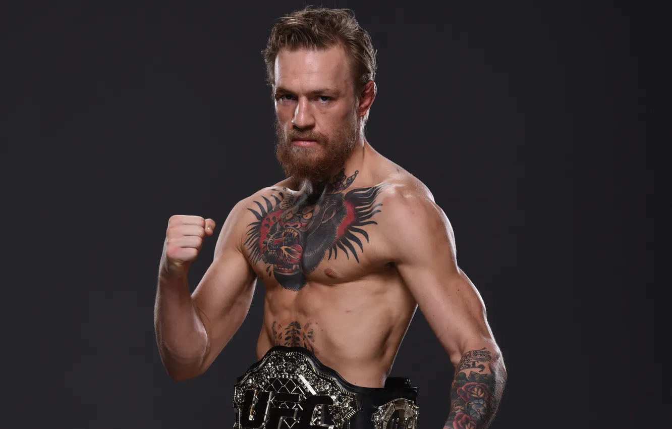 Wallpaper Champion, Ireland, UFC, Tattoo, Conor, Conor McGregor images for  desktop, section спорт - download