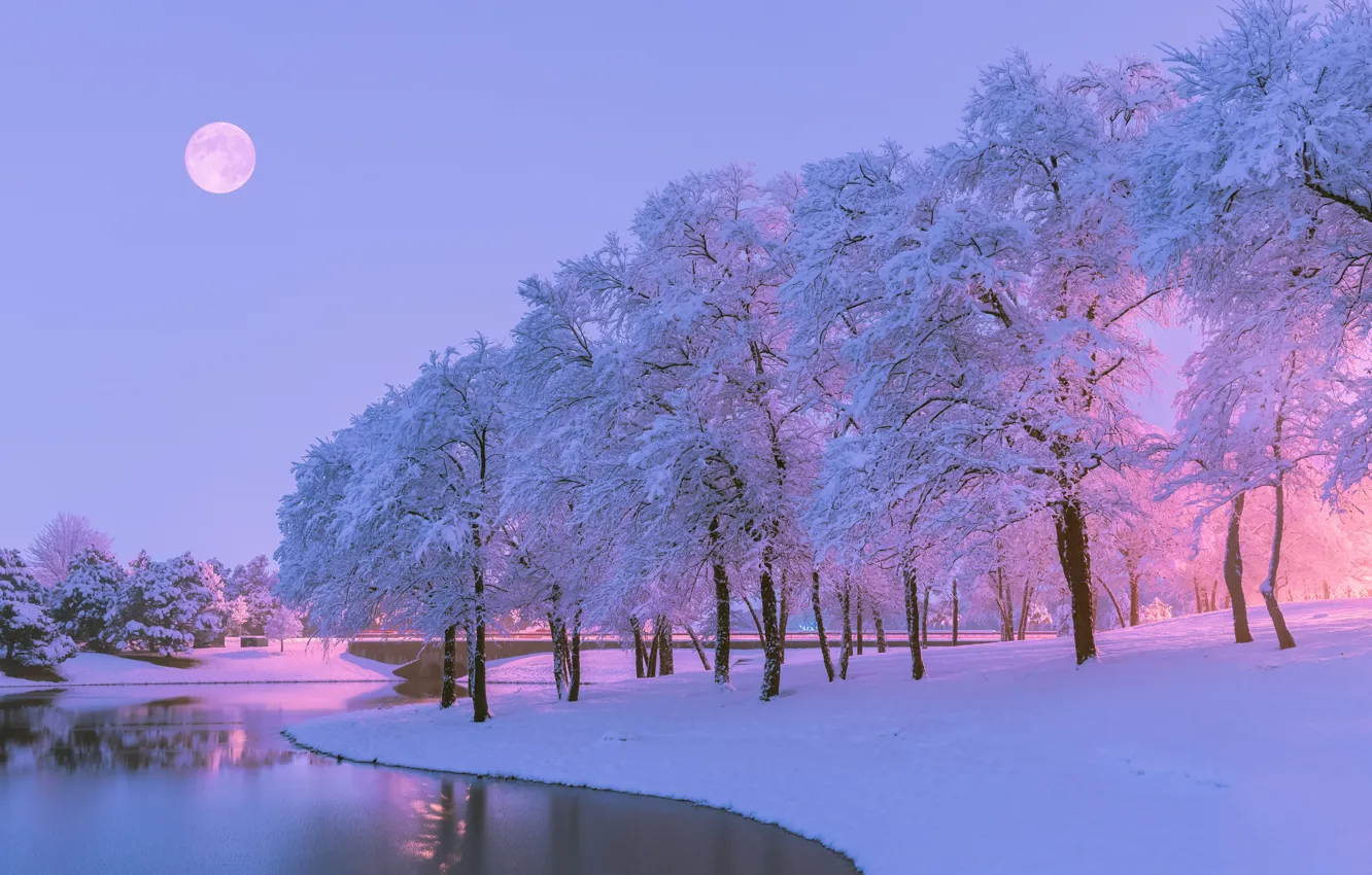 Photo wallpaper winter, snow, trees, nature, river, the moon, the evening