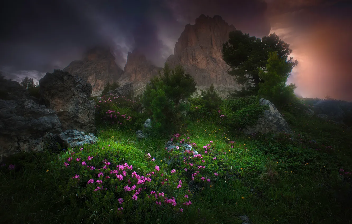 Photo wallpaper clouds, trees, flowers, mountains, clouds, nature
