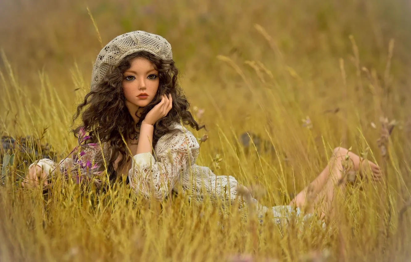 Photo wallpaper grass, toy, doll, meadow