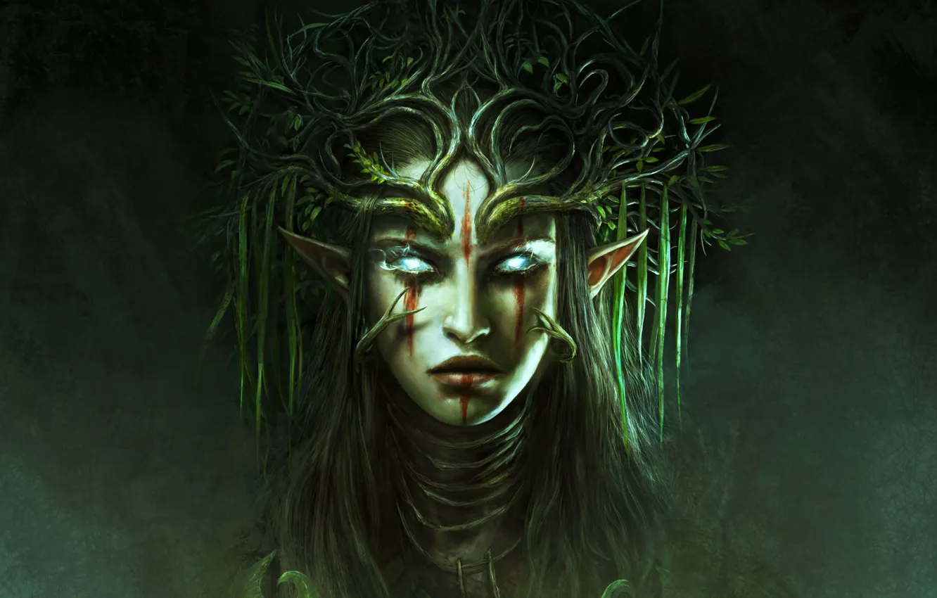 Wallpaper girl, face, portrait, Divinity: Original Sin 2 images for  desktop, section игры - download