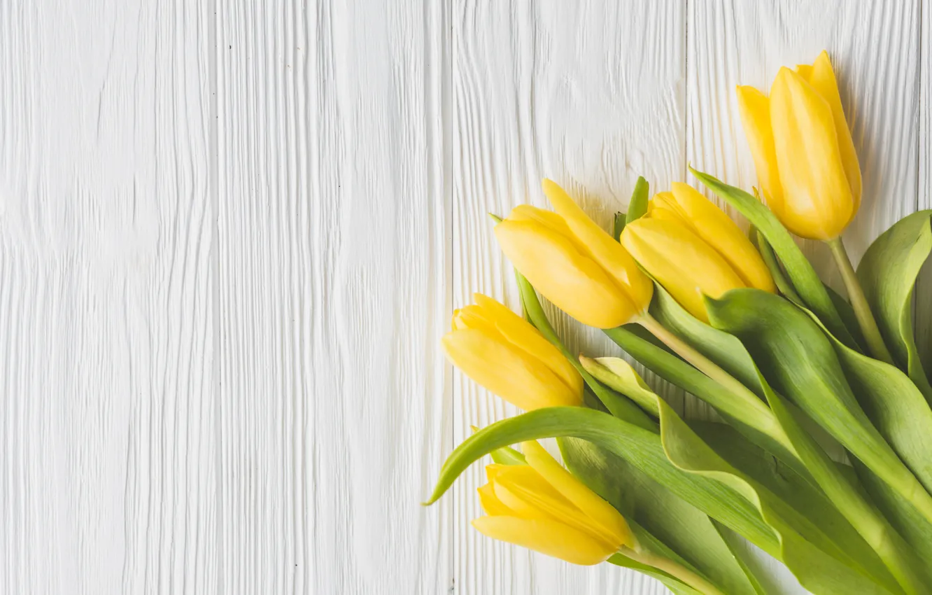 Photo wallpaper flowers, bouquet, spring, yellow, tulips, fresh, yellow, wood, flowers, tulips, spring