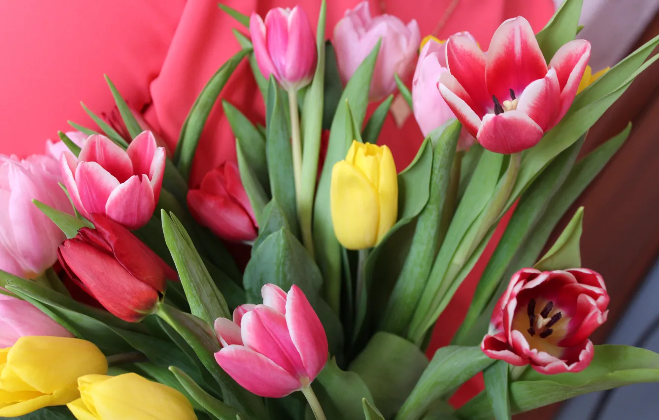Photo wallpaper Flowers, tulips, pink