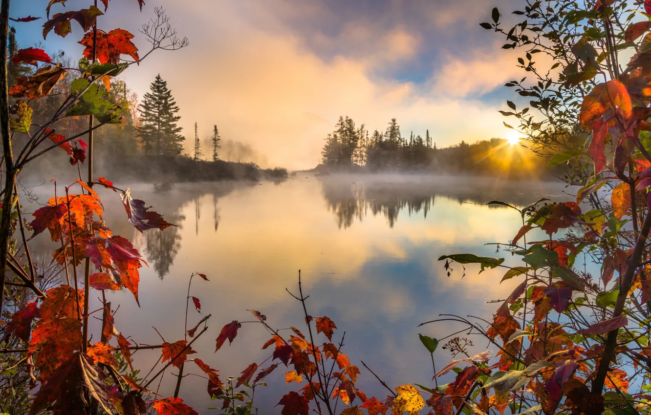 Photo wallpaper Autumn, RED, Lake, Forest