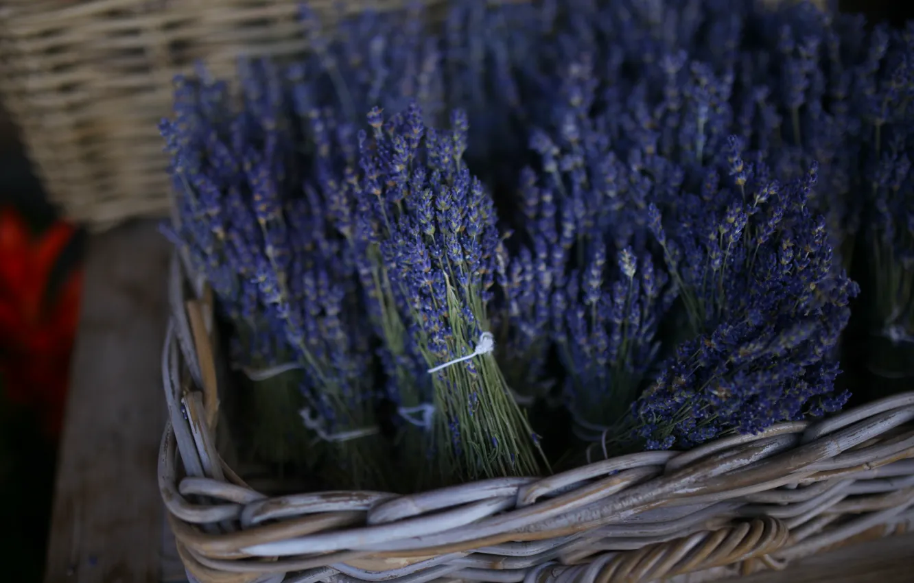Photo wallpaper basket, a lot, lavender