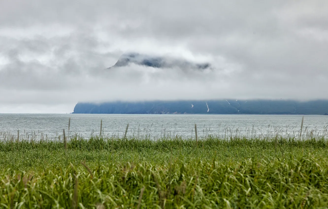Photo wallpaper sea, greens, grass, mountains, fog, coast, Russia, Kamchatka
