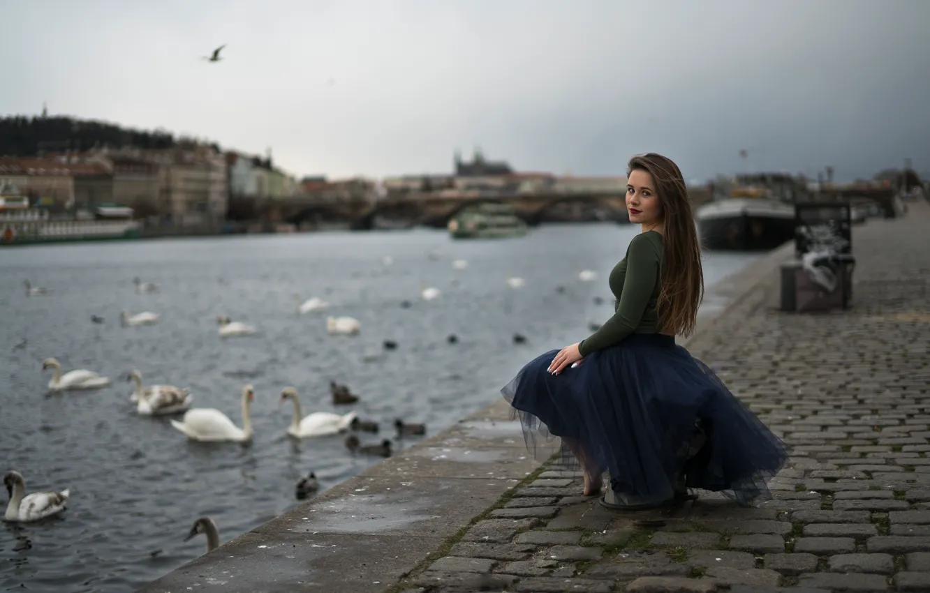 Photo wallpaper girl, swans, promenade, Swan