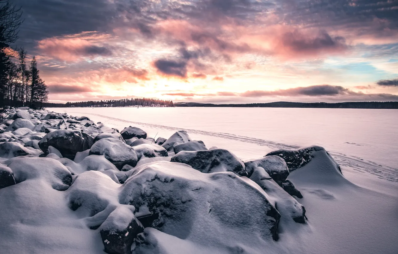 Photo wallpaper winter, field, snow, sunset