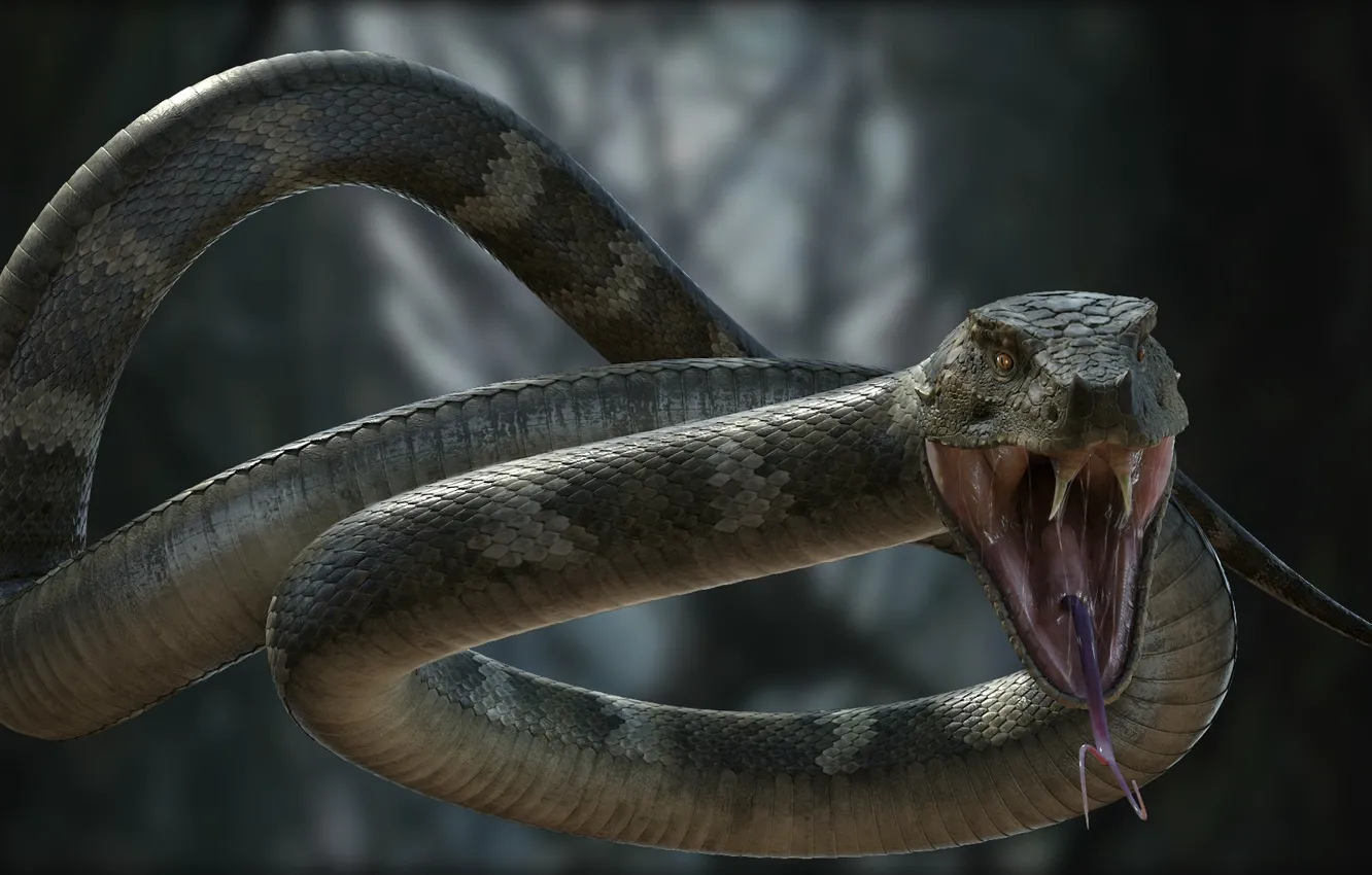 Wallpaper bite, art, snake, throw, yi jiang images for desktop, section  фантастика - download